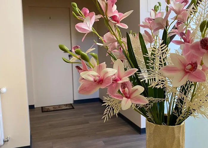 Drivers Pensión Wożniki